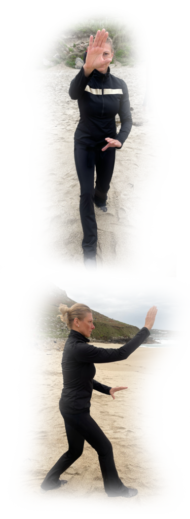 Qi Gong 1 Qi Gong